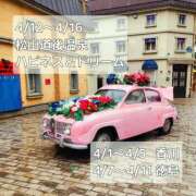 ヒメ日記 2025/04/01 08:05 投稿 わらび ハピネス＆ドリーム 松山道後温泉