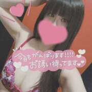 ヒメ日記 2025/04/15 09:09 投稿 わらび ハピネス＆ドリーム 松山道後温泉