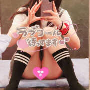 ヒメ日記 2025/04/15 11:05 投稿 わらび ハピネス＆ドリーム 松山道後温泉