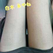 ヒメ日記 2025/03/13 14:47 投稿 白木あやね 甲府回春アロマージュ