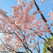 ヒメ日記 2025/03/25 18:21 投稿 白木あやね 甲府回春アロマージュ