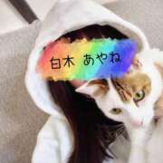 ヒメ日記 2025/03/28 12:06 投稿 白木あやね 甲府回春アロマージュ