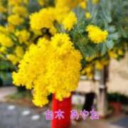 ヒメ日記 2025/04/04 11:31 投稿 白木あやね 甲府回春アロマージュ