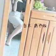 ヒメ日記 2025/05/26 07:35 投稿 白木あやね 甲府回春アロマージュ