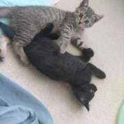 ヒメ日記 2025/06/21 20:01 投稿 白木あやね 甲府回春アロマージュ