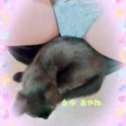 ヒメ日記 2025/07/04 12:45 投稿 白木あやね 甲府回春アロマージュ