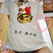 ヒメ日記 2025/07/15 12:42 投稿 白木あやね 甲府回春アロマージュ