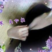 ヒメ日記 2025/08/11 17:42 投稿 白木あやね 甲府回春アロマージュ