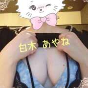 ヒメ日記 2025/09/04 18:03 投稿 白木あやね 甲府回春アロマージュ