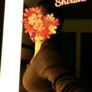 ヒメ日記 2025/11/08 17:45 投稿 白木あやね 甲府回春アロマージュ