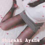 ヒメ日記 2025/11/17 12:16 投稿 白木あやね 甲府回春アロマージュ