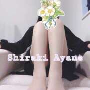 ヒメ日記 2025/11/20 12:31 投稿 白木あやね 甲府回春アロマージュ