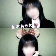 ヒメ日記 2026/02/20 12:03 投稿 白木あやね 甲府回春アロマージュ