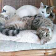 ヒメ日記 2026/02/22 12:31 投稿 白木あやね 甲府回春アロマージュ