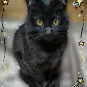 ヒメ日記 2026/03/14 08:13 投稿 白木あやね 甲府回春アロマージュ