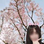 ヒメ日記 2026/03/19 12:05 投稿 白木あやね 甲府回春アロマージュ