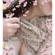 ヒメ日記 2025/04/13 18:18 投稿 まゆこ モアグループ春日部人妻城