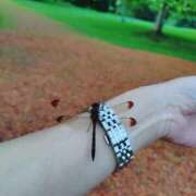 ヒメ日記 2025/09/10 01:59 投稿 わかこ 完熟ばなな札幌・すすきの