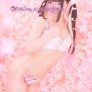 ヒメ日記 2025/03/16 23:31 投稿 あのん ドンファン