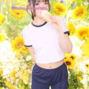 ヒメ日記 2025/07/14 12:44 投稿 あのん ドンファン