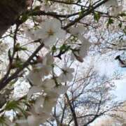 ヒメ日記 2025/04/03 19:21 投稿 みく Hip's千葉駅前店