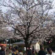 ヒメ日記 2025/04/08 13:04 投稿 みく Hip's千葉駅前店