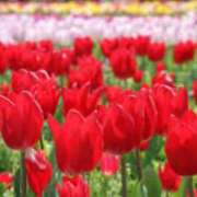 ヒメ日記 2025/03/31 09:18 投稿 さくや タレント倶楽部アダルト