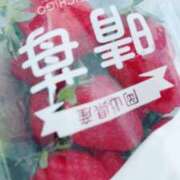 ヒメ日記 2025/03/31 12:50 投稿 さくや タレント倶楽部アダルト