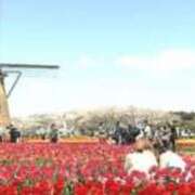 ヒメ日記 2025/04/11 15:50 投稿 さくや タレント倶楽部アダルト