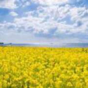 ヒメ日記 2025/04/16 12:52 投稿 さくや タレント倶楽部アダルト