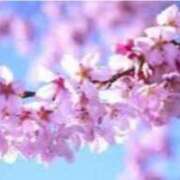 ヒメ日記 2025/04/19 10:50 投稿 さくや タレント倶楽部アダルト