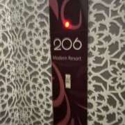 ヒメ日記 2025/05/29 11:46 投稿 さくや タレント倶楽部アダルト