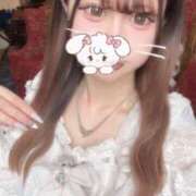 ヒメ日記 2025/08/01 19:23 投稿 こはく・SP やまとなでしこ桜組