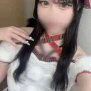 ヒメ日記 2025/12/27 00:01 投稿 こはく・SP やまとなでしこ桜組