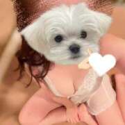 ヒメ日記 2025/06/23 16:57 投稿 ひまり ハッピーブリッジ