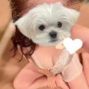 ヒメ日記 2025/08/30 09:07 投稿 ひまり ハッピーブリッジ