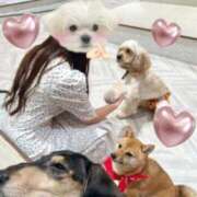 ヒメ日記 2025/09/03 21:24 投稿 ひまり ハッピーブリッジ