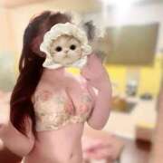 ヒメ日記 2025/10/31 16:27 投稿 ひまり ハッピーブリッジ