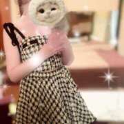 ヒメ日記 2025/11/01 12:17 投稿 ひまり ハッピーブリッジ