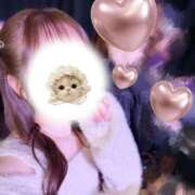 ヒメ日記 2025/11/04 13:47 投稿 ひまり ハッピーブリッジ