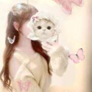 ヒメ日記 2025/11/05 14:07 投稿 ひまり ハッピーブリッジ