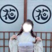 ヒメ日記 2025/12/29 11:47 投稿 ひまり ハッピーブリッジ