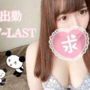 ヒメ日記 2025/03/17 16:04 投稿 まどか（ドМ・巨乳・可愛い） ソープランド ラ・メイド neo