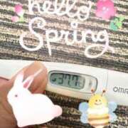 ヒメ日記 2025/04/01 23:14 投稿 まどか（ドМ・巨乳・可愛い） ソープランド ラ・メイド neo