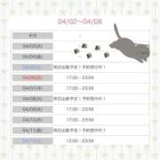 ヒメ日記 2025/04/02 20:16 投稿 まどか（ドМ・巨乳・可愛い） ソープランド ラ・メイド neo