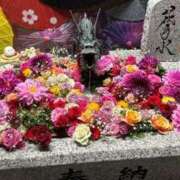 ヒメ日記 2025/06/03 09:04 投稿 まどか（ドМ・巨乳・可愛い） ソープランド ラ・メイド neo