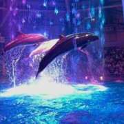 ヒメ日記 2025/06/03 12:04 投稿 まどか（ドМ・巨乳・可愛い） ソープランド ラ・メイド neo