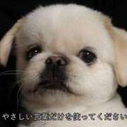 ヒメ日記 2025/07/28 13:54 投稿 まどか（ドМ・巨乳・可愛い） ソープランド ラ・メイド neo