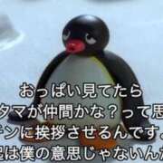 ヒメ日記 2025/08/04 16:04 投稿 まどか（ドМ・巨乳・可愛い） ソープランド ラ・メイド neo