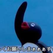 ヒメ日記 2025/08/05 13:24 投稿 まどか（ドМ・巨乳・可愛い） ソープランド ラ・メイド neo